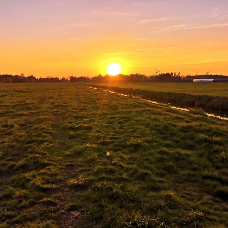 Urlaub Holthusen Lägenhet Brake  Exteriör bild